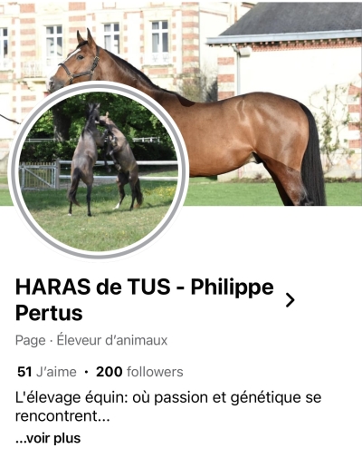 Nouvelle Page Facebook HARAS de TUS - Philippe PERTUS