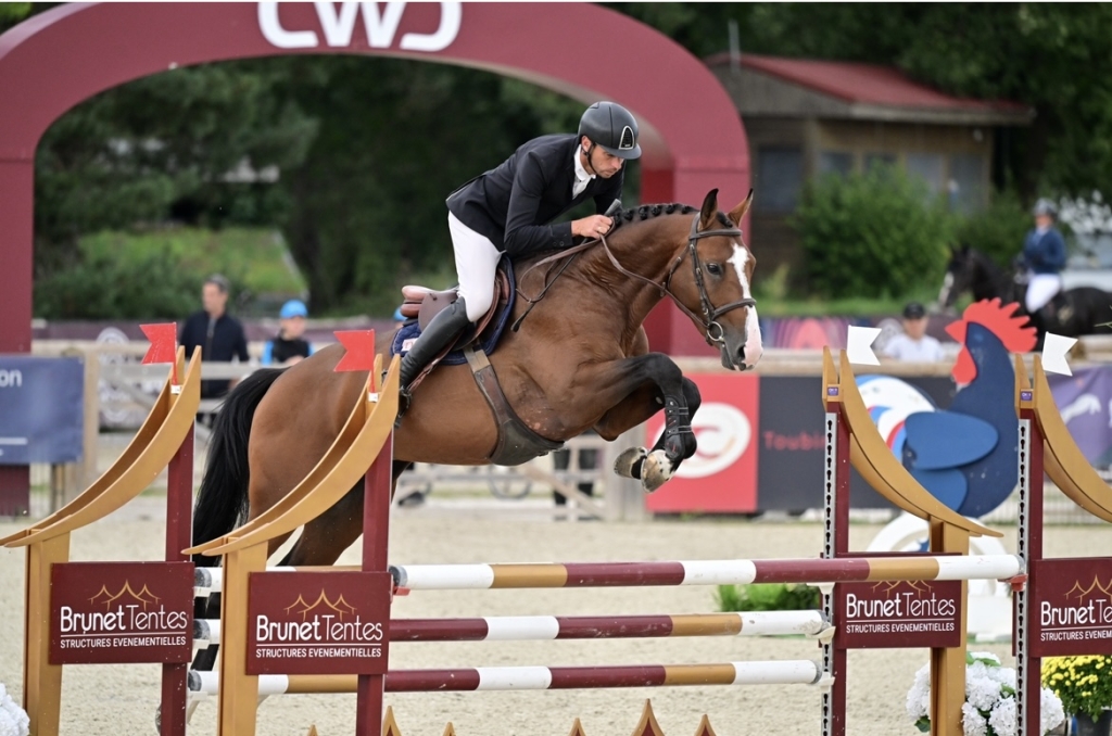 Pertus Ralefatane cheval de sport à vendre -JOLI MOME DE TUS Mâle SFA Bai-UNTOUCHABLE ...